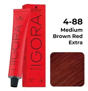 [C37] Igora 4-88