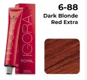 Igora 6-88